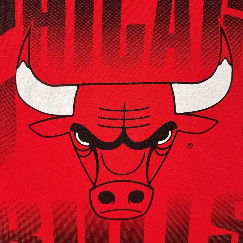Vintage 90s CHICAGO BULLS LOGO 7 Shirt - Men's Large - Big Logo Red